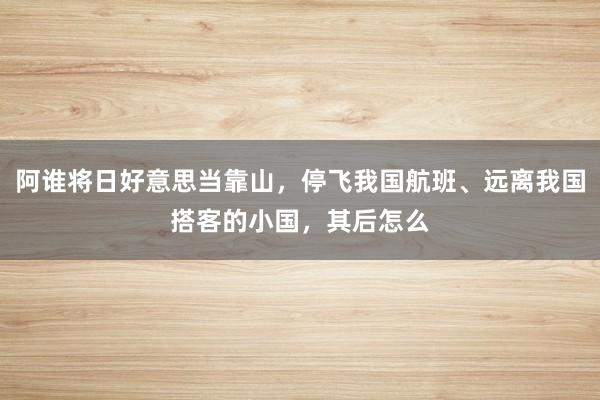 阿谁将日好意思当靠山，停飞我国航班、远离我国搭客的小国，其后怎么