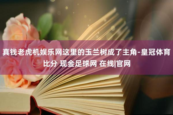 真钱老虎机娱乐网这里的玉兰树成了主角-皇冠体育比分 现金足球网 在线|官网